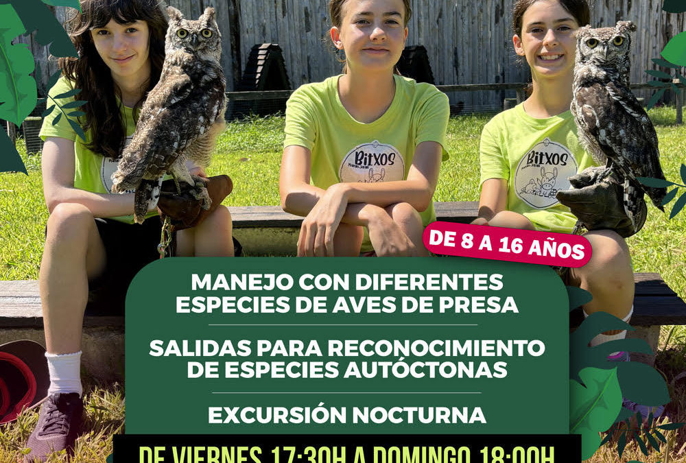 Fin de semana Maruri. Curso Junior Rapaces